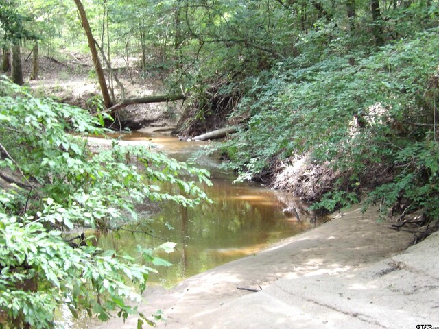 TBD Fsr 536, Kennard, TX 75847 - photo 3