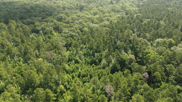 TBD Fsr 536, Kennard, TX 75847 - photo 19