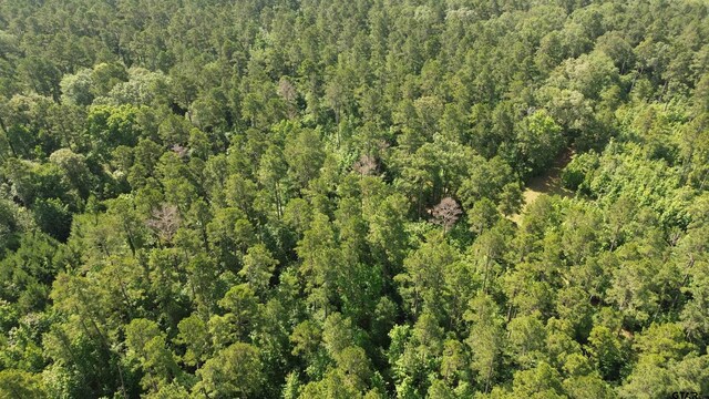 TBD Fsr 536, Kennard, TX 75847 - photo 15