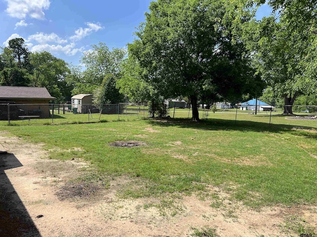 106 Hilltop Dr, Naples, TX 75568 - view of yard