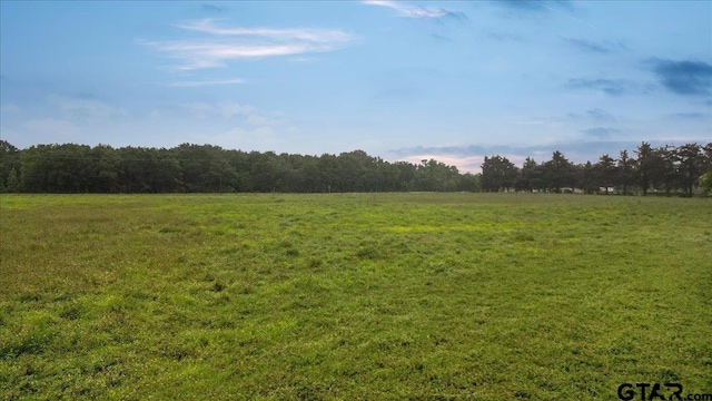 2278 Fm 1799, Mineola, TX 75773 - view of tree filled area featuring a rural view