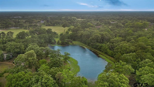 2278 Fm 1799, Mineola, TX 75773 - drone / aerial view of a large body of water and a heavily wooded area