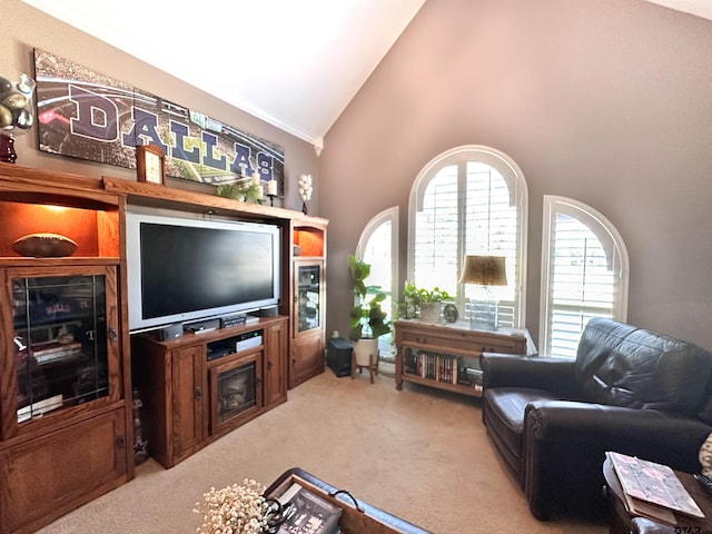599 N Weldon St, Frankston, TX 75763 - carpeted living area with crown molding and high vaulted ceiling