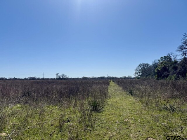 TBD County Road 2244, Mineola, TX 75773