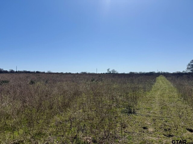TBD County Road 2244, Mineola, TX 75773