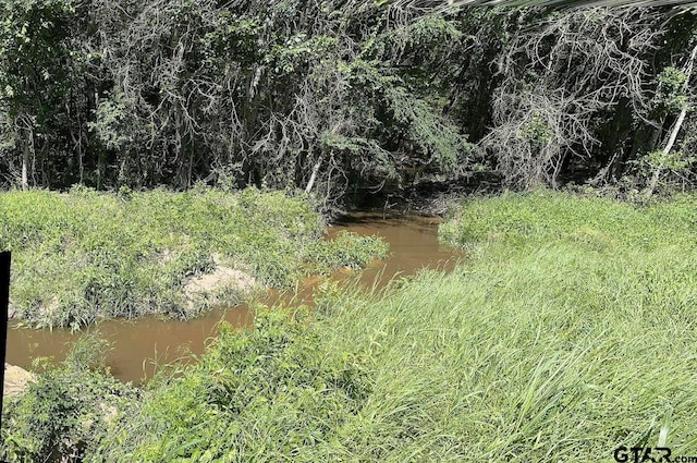 view of landscape with a water view