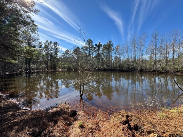 7365 N Fm 2022, Grapeland, TX 75844 - photo 1