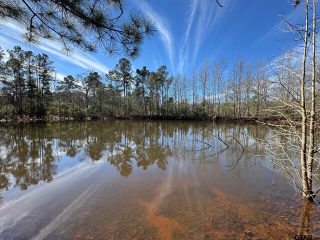 7365 N Fm 2022, Grapeland, TX 75844 - photo 2