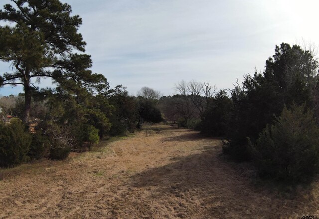 7365 N Fm 2022, Grapeland, TX 75844 - photo 10
