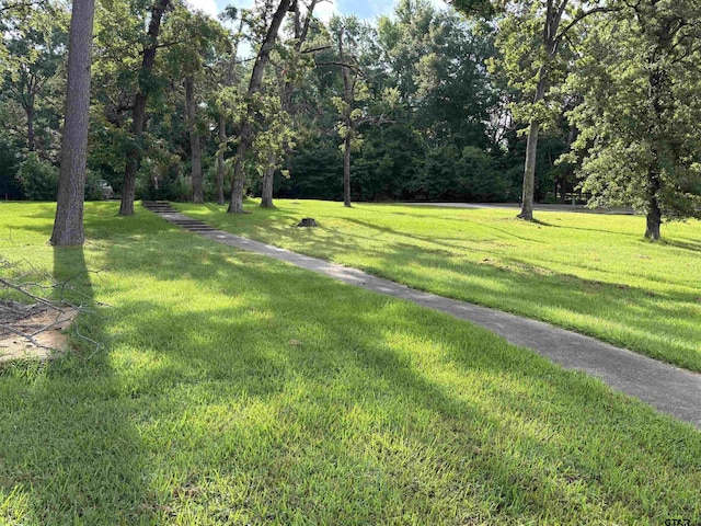 17575 Sleepy Hollow Way, Flint, TX 75762