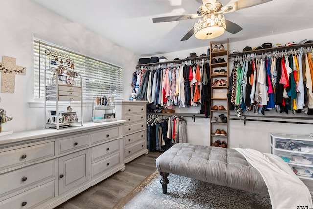 spacious closet with light hardwood / wood-style flooring and ceiling fan