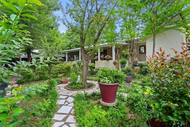view of yard