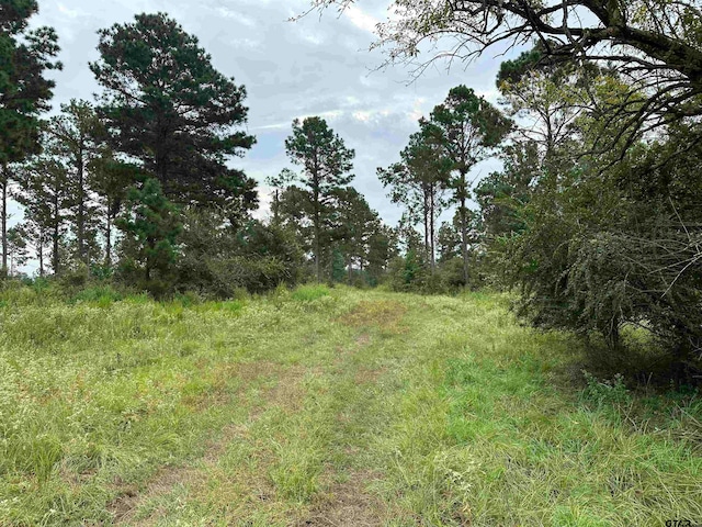 TBD Fm 747, Jacksonville TX, 75766 land for sale