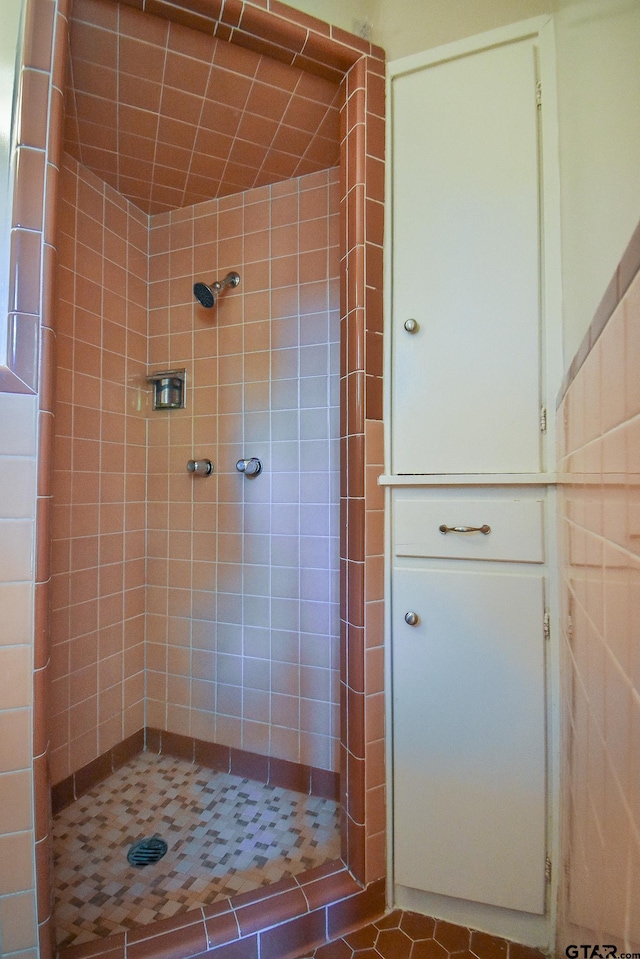 bathroom with tiled shower