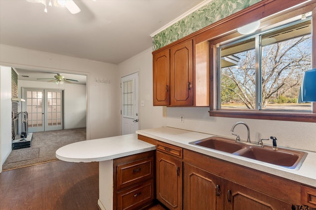 kitchen with ceiling fan, sink, hardwood / wood-style flooring, and ornamental molding