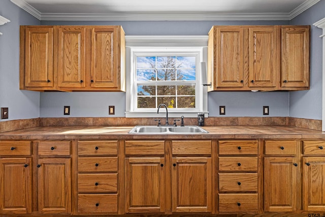 kitchen featuring crown molding and sink