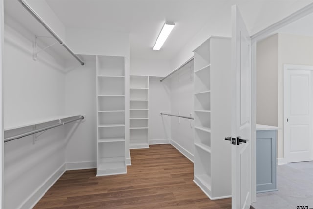 spacious closet featuring dark hardwood / wood-style flooring