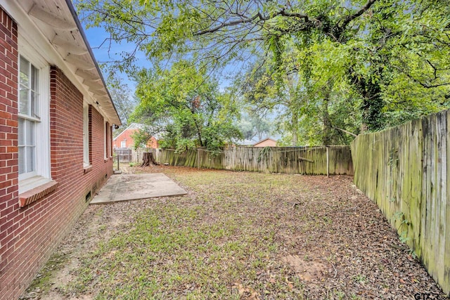 view of yard featuring a patio area