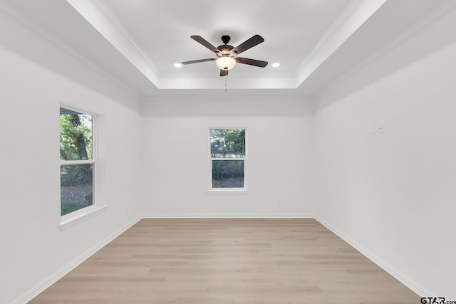 empty room featuring crown molding, a tray ceiling, and a wealth of natural light