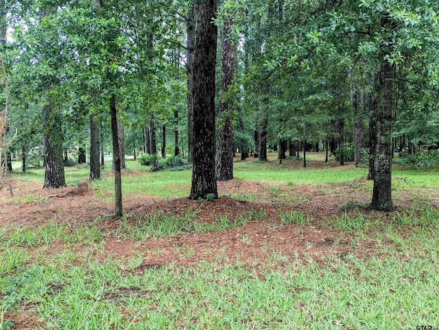 TBD County Road 1426, Jacksonville, TX 75766 - photo 15