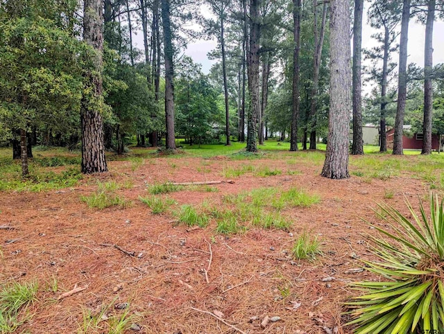 TBD County Road 1426, Jacksonville, TX 75766 - photo 11