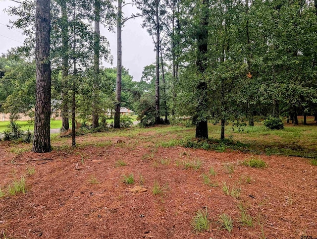 TBD County Road 1426, Jacksonville, TX 75766 - photo 2