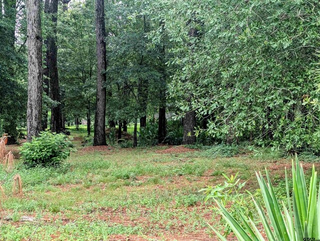 TBD County Road 1426, Jacksonville, TX 75766 - photo 14