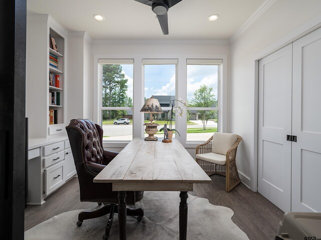 1555 Maple Crk, Tyler, TX 75703 - office space with healthy amount of natural light, crown molding, a ceiling fan, dark wood-style floors, and recessed lighting