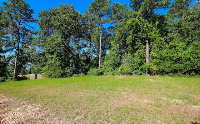 5000 Fm 315 S, Chandler, TX 75758 - view of yard