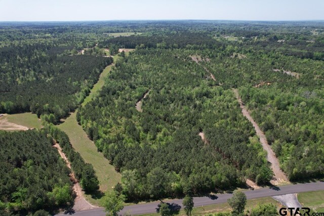 TBD-D Old Highway 135, Gladewater, TX 75647 - photo 1