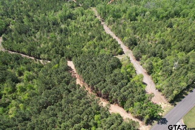 TBD-D Old Highway 135, Gladewater, TX 75647 - photo 6