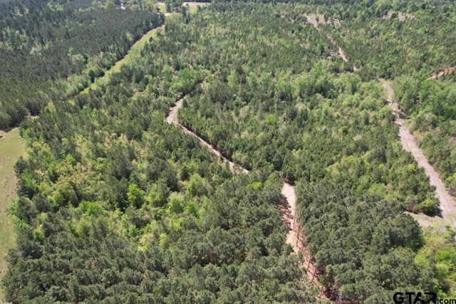 TBD-D Old Highway 135, Gladewater, TX 75647 - photo 7