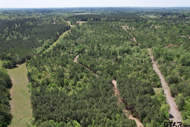 TBD-D Old Highway 135, Gladewater, TX 75647 - photo 4