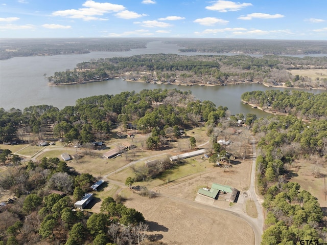 drone / aerial view with a wooded view and a water view