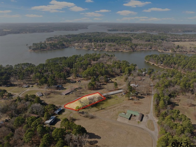 birds eye view of property with a view of trees and a water view