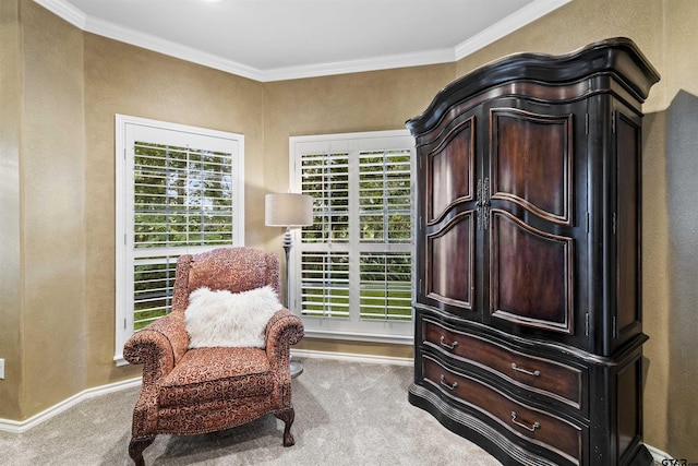 11187 Hunters Trl, Flint, TX 75762 - sitting room with carpet flooring, crown molding, and a textured wall