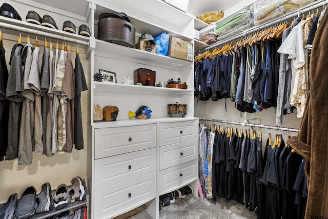 11187 Hunters Trl, Flint, TX 75762 - spacious closet with carpet flooring