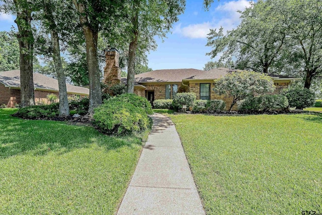 ranch-style home featuring a front lawn