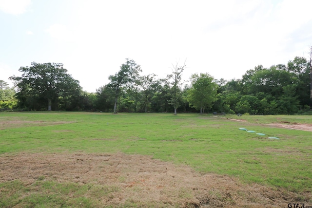 16519 Cooper Way, Tyler, TX 75703 - photo 46