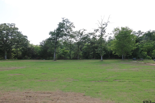 16519 Cooper Way, Tyler, TX 75703 - photo 47
