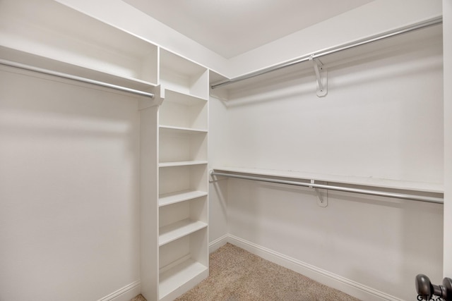 walk in closet with light colored carpet