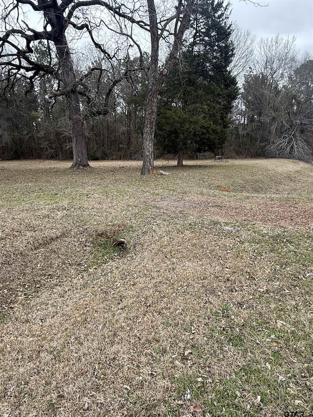 1043 Fm 2682, Karnack, TX 75661