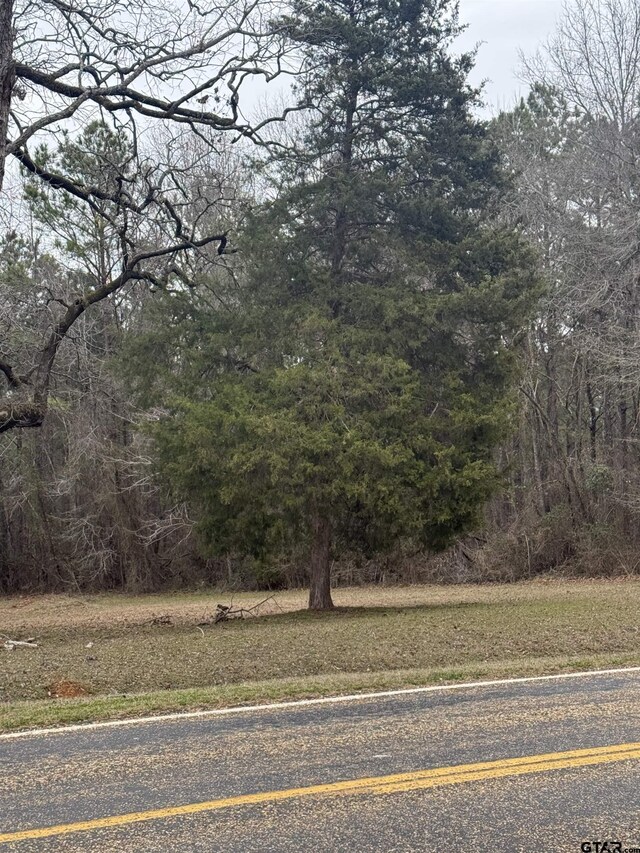 1043 Fm 2682, Karnack, TX 75661