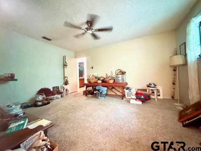23319 Peninsula Pt, Frankston, TX 75763 - misc room with ceiling fan, a textured ceiling, and carpet
