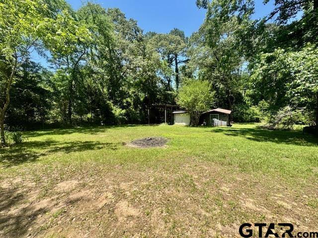 23319 Peninsula Pt, Frankston, TX 75763 - view of green lawn with an outdoor structure