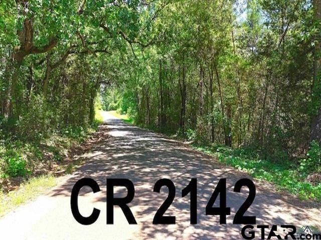 TBD Cr 2142, Tatum, TX 75691 - photo 4