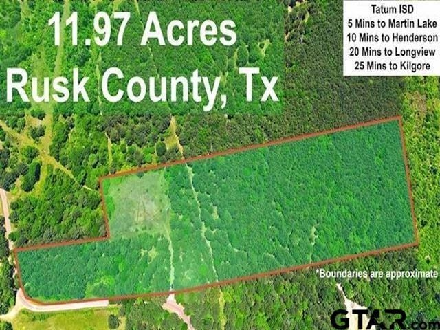 TBD Cr 2142, Tatum, TX 75691 - photo 7