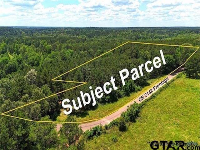 TBD Cr 2142, Tatum, TX 75691 - photo 3