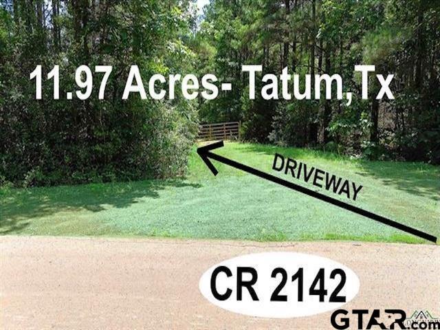 TBD Cr 2142, Tatum, TX 75691 - photo 6