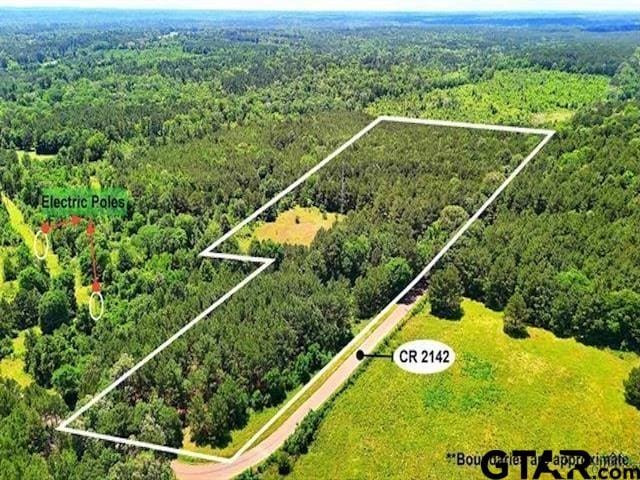 TBD Cr 2142, Tatum, TX 75691 - photo 1